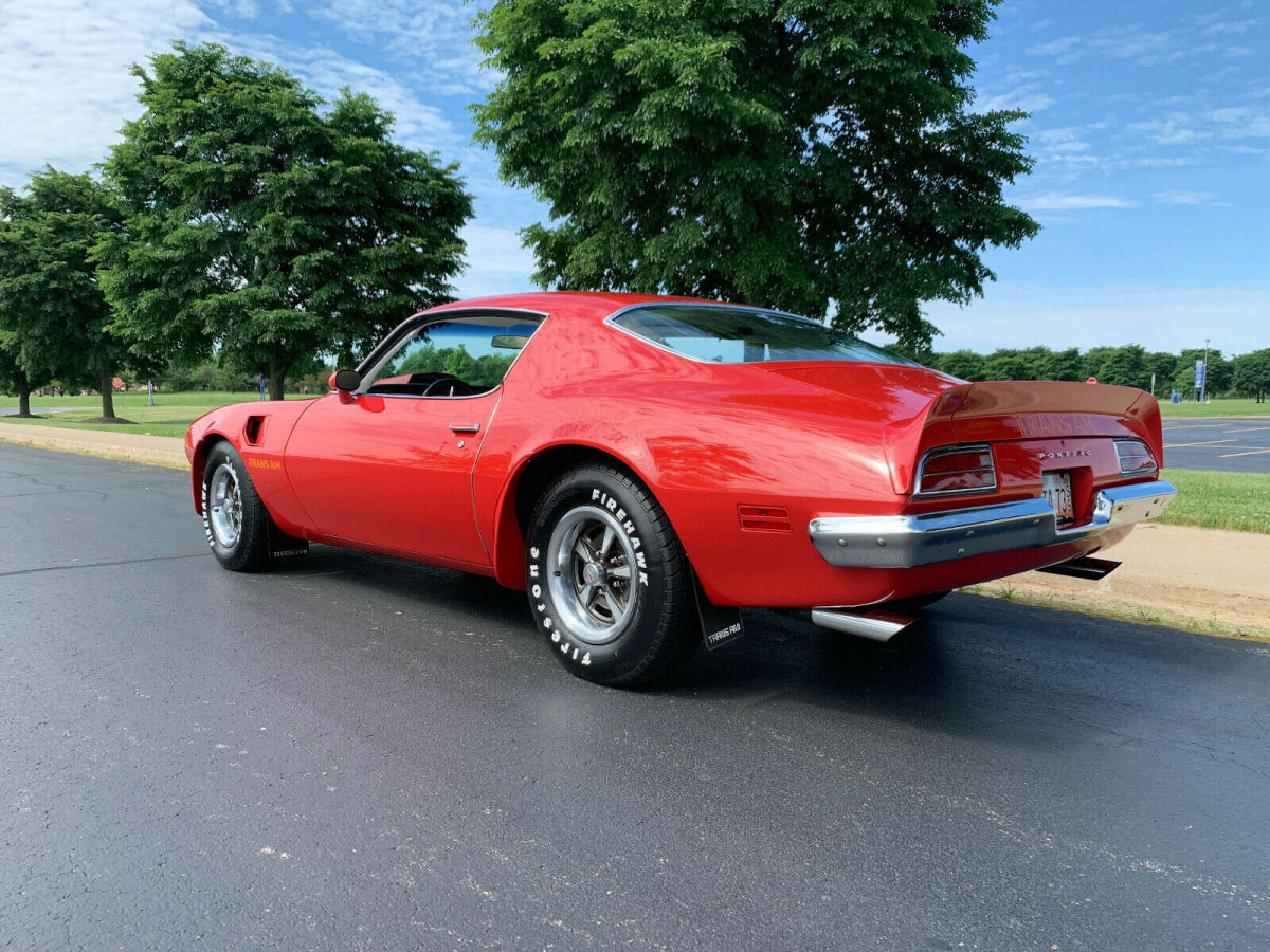 1973 Pontiac Trans Am Custom Deluxe - photo 7