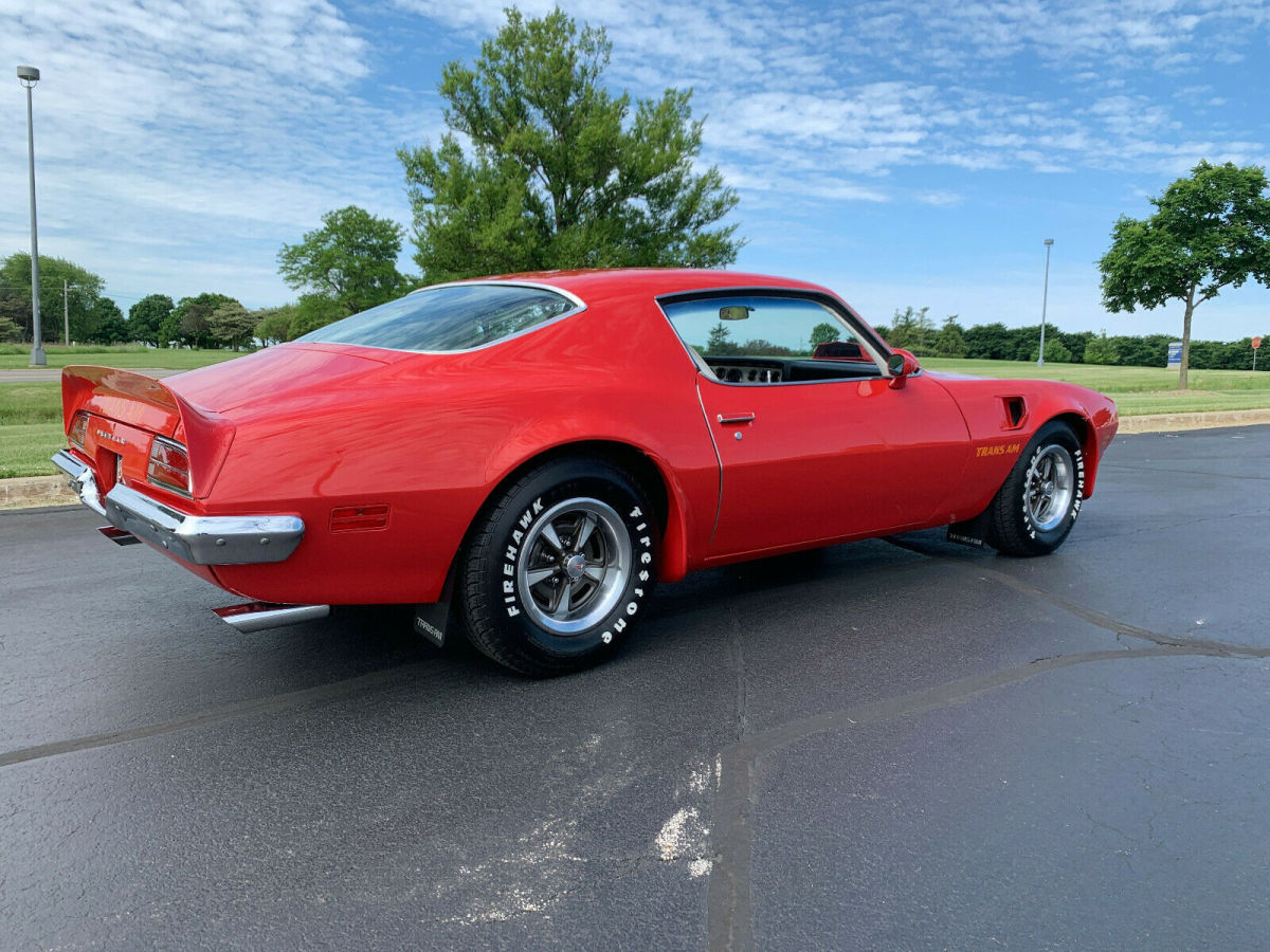 1973 Pontiac Trans Am Custom Deluxe - photo 9