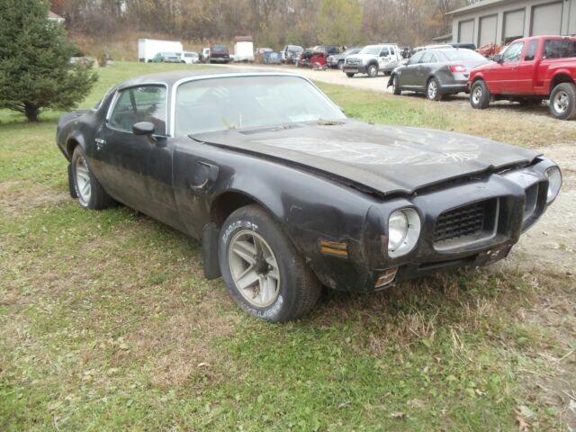 1973 Pontiac Trans Am - photo 2