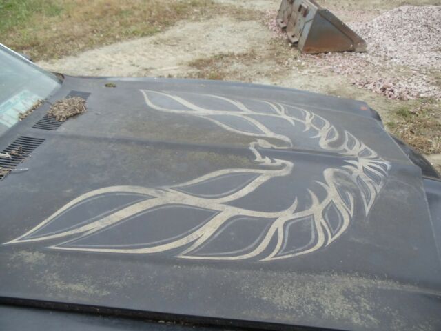 1973 Pontiac Trans Am - photo 5
