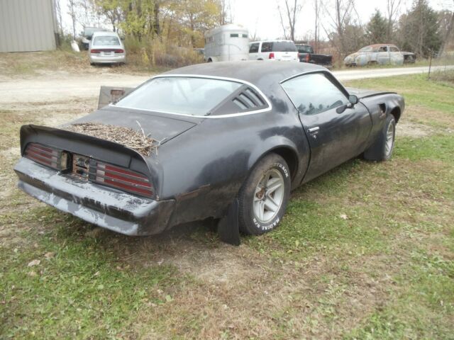 1973 Pontiac Trans Am - photo 6