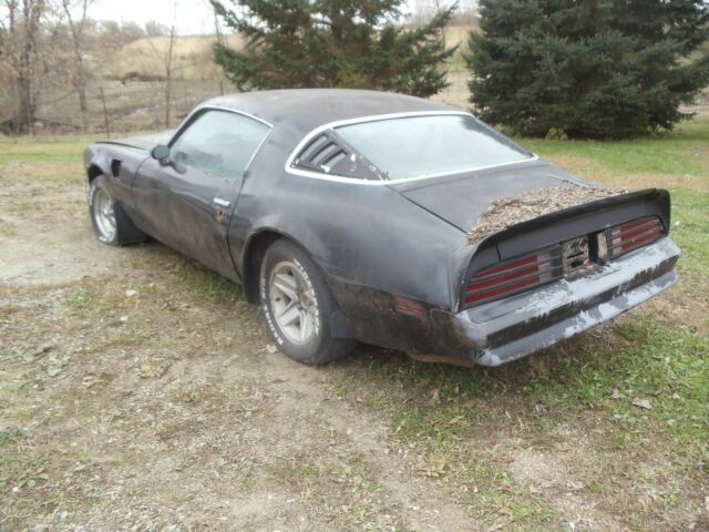1973 Pontiac Trans Am - photo 7