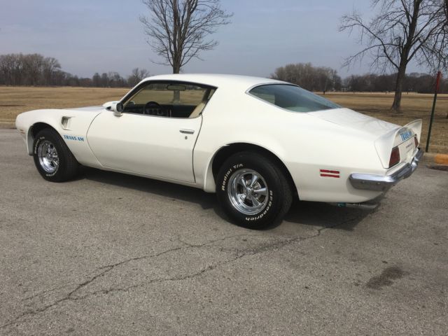 1973 Pontiac Trans Am - photo 3