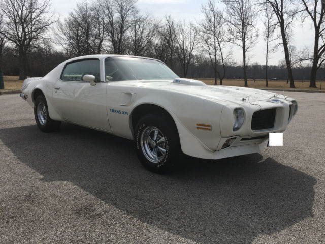 1973 Pontiac Trans Am - photo 9