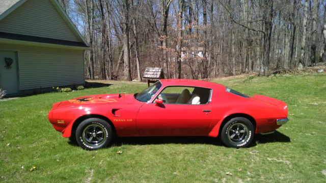 1973 Pontiac Trans Am - photo 9