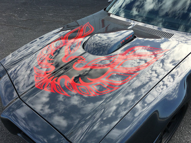 1973 Pontiac Trans Am - photo 5