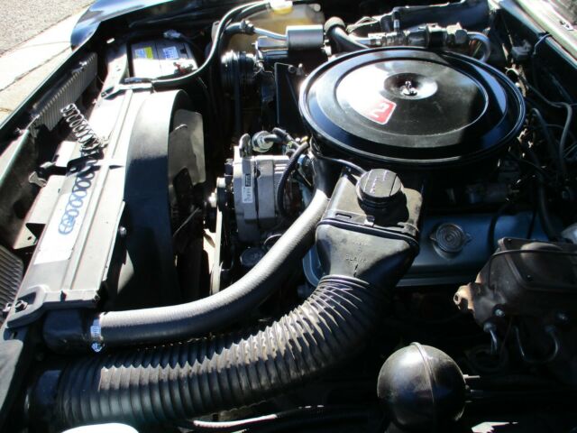 1973 Pontiac Ventura Custom - photo 13