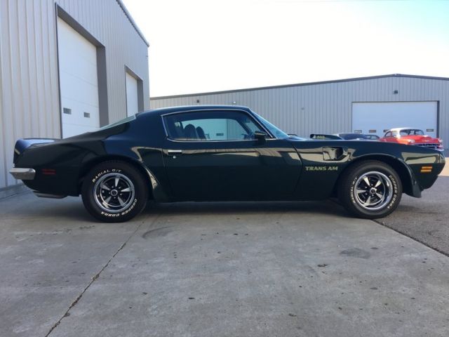 1973 Pontiac Trans Am - photo 4