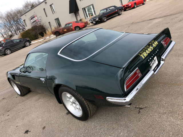 1973 Pontiac Trans Am - photo 8
