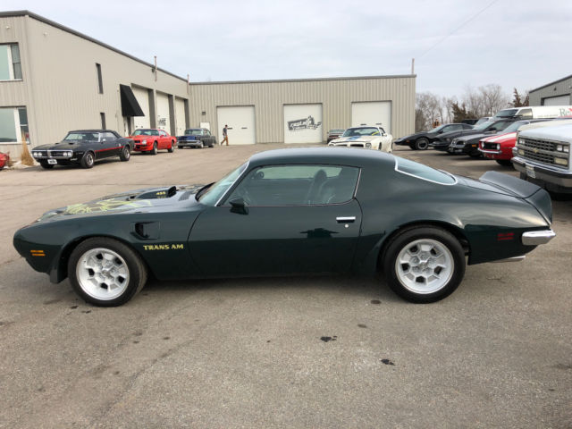 1973 Pontiac Trans Am - photo 9