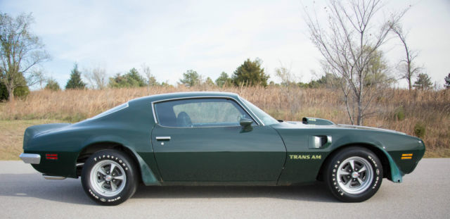 1973 Pontiac Trans Am - photo 6