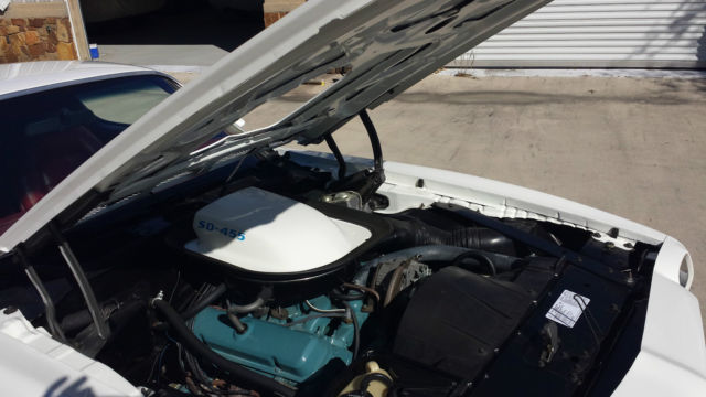 1973 Pontiac Trans Am - photo 10