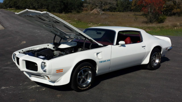 1973 Pontiac Trans Am - photo 6