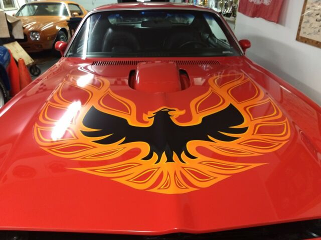 1973 Pontiac Trans Am - photo 5