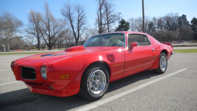 1973 Trans AM Clone No Reserve!!!! 1973 Pontiac Trans Am deluxe
