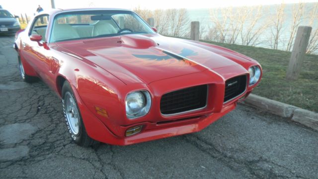 1973 Pontiac Trans Am deluxe - photo 13
