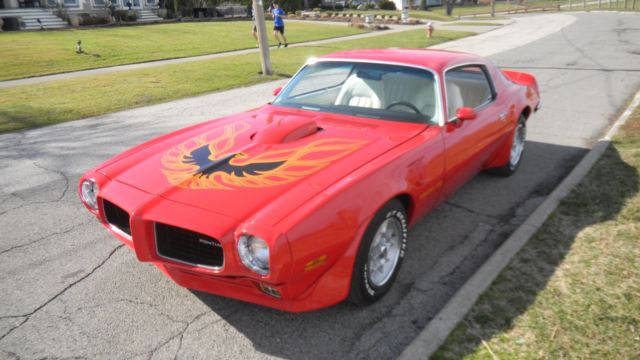 1973 Pontiac Trans Am deluxe - photo 3