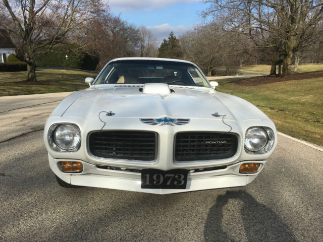 1973 Pontiac Trans Am - photo 4