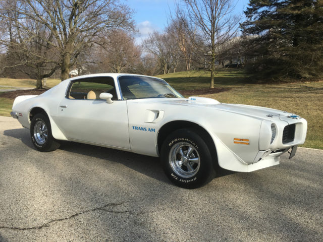 1973 Pontiac Trans Am - photo 5