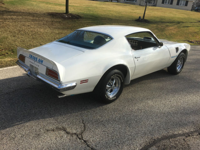 1973 Pontiac Trans Am - photo 9