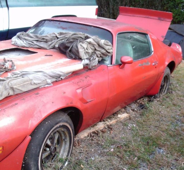 1973 Pontiac Trans Am Deluxe white - photo 2