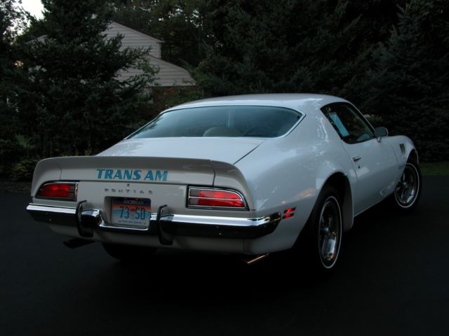 1973 Pontiac Trans Am - photo 2