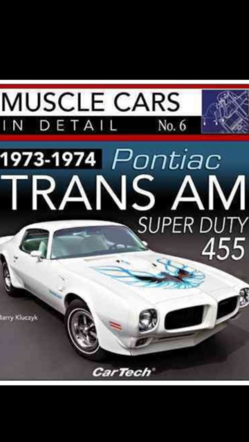 1973 Pontiac Trans Am - photo 9