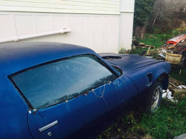 1973 Pontiac Trans Am - photo 4