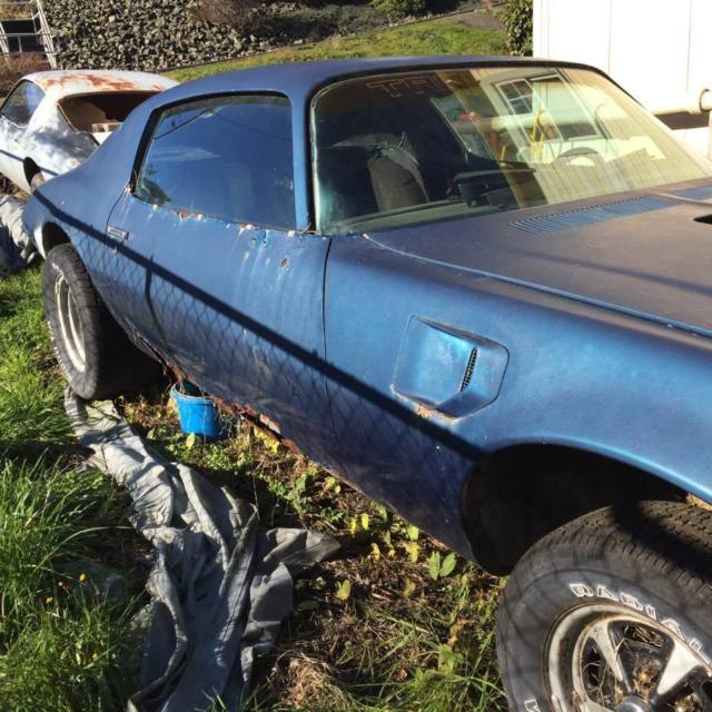 1973 Pontiac Trans Am - photo 5