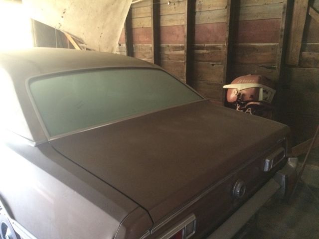 1973 Ford Other Luxury - photo 10