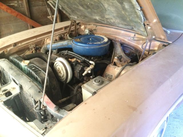 1973 Ford Other Luxury - photo 4