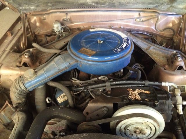 1973 Ford Other Luxury - photo 5