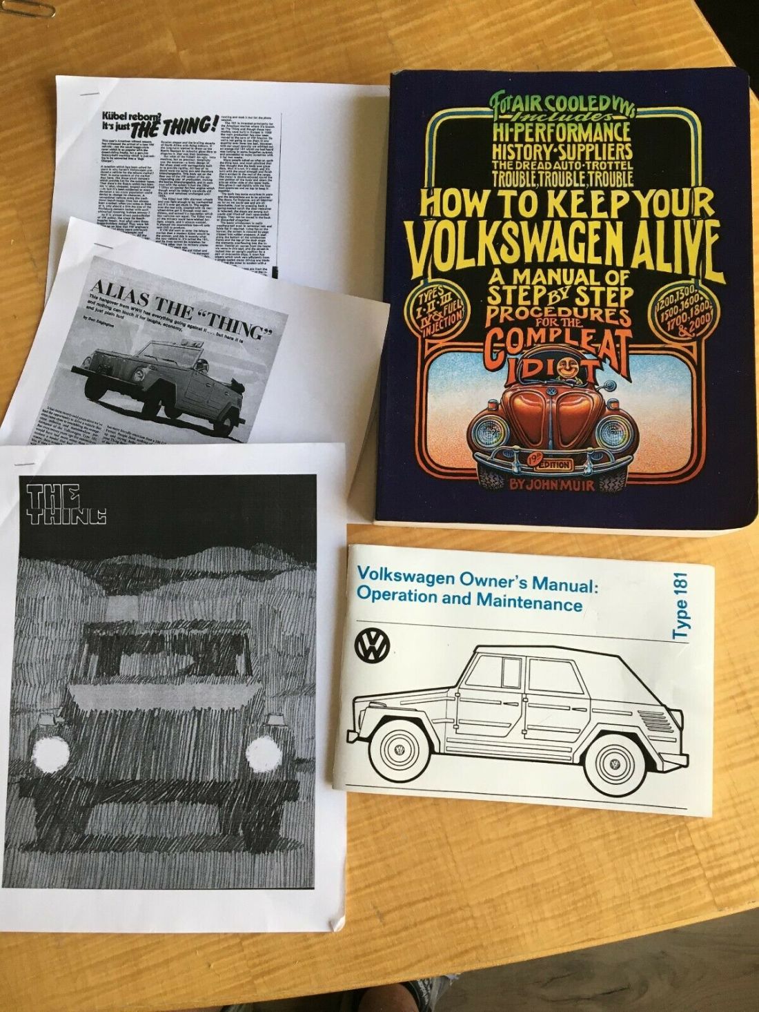 1973 Volkswagen Thing - photo 12