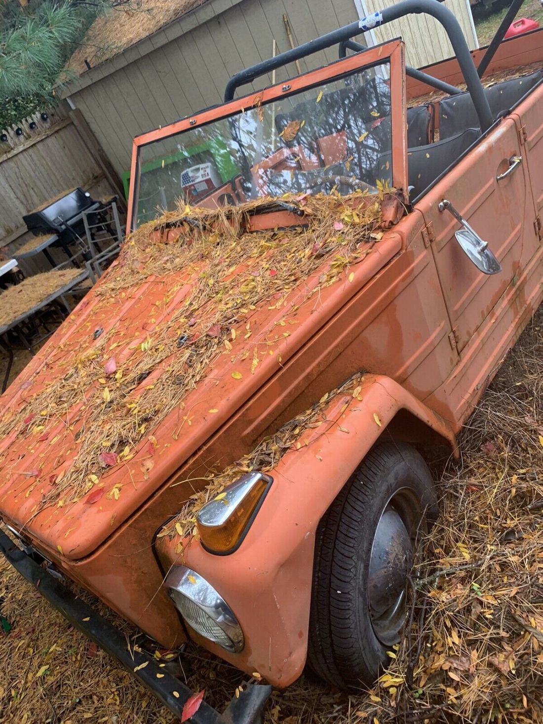 1973 Volkswagen Thing
