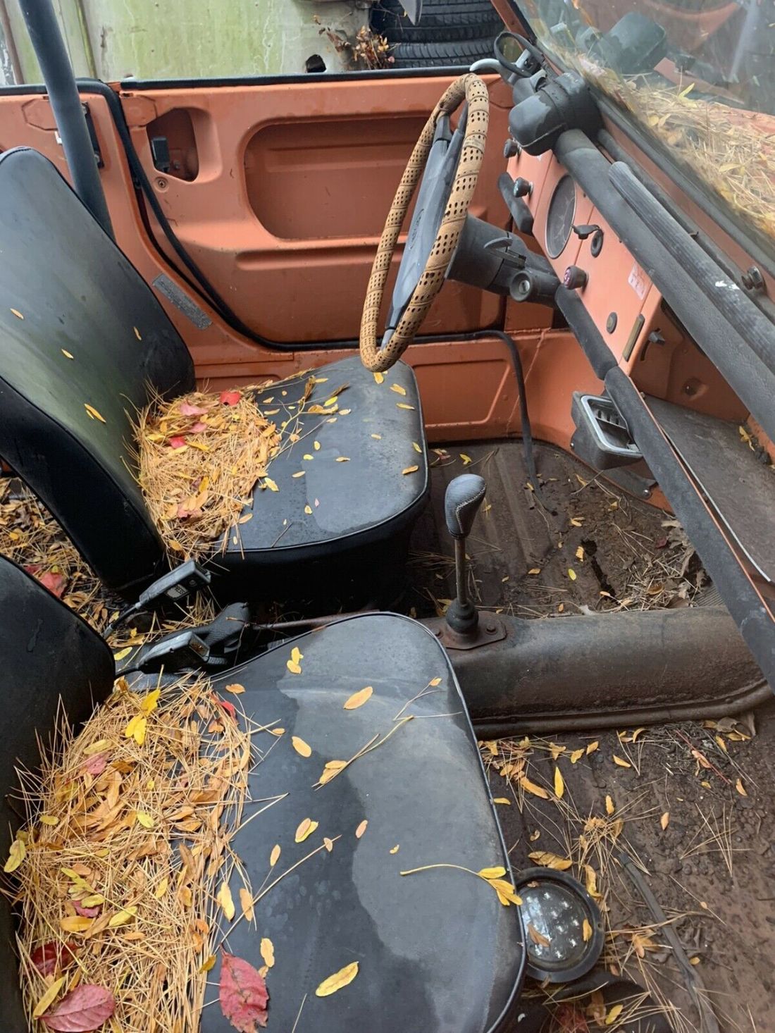 1973 Volkswagen Thing - photo 5