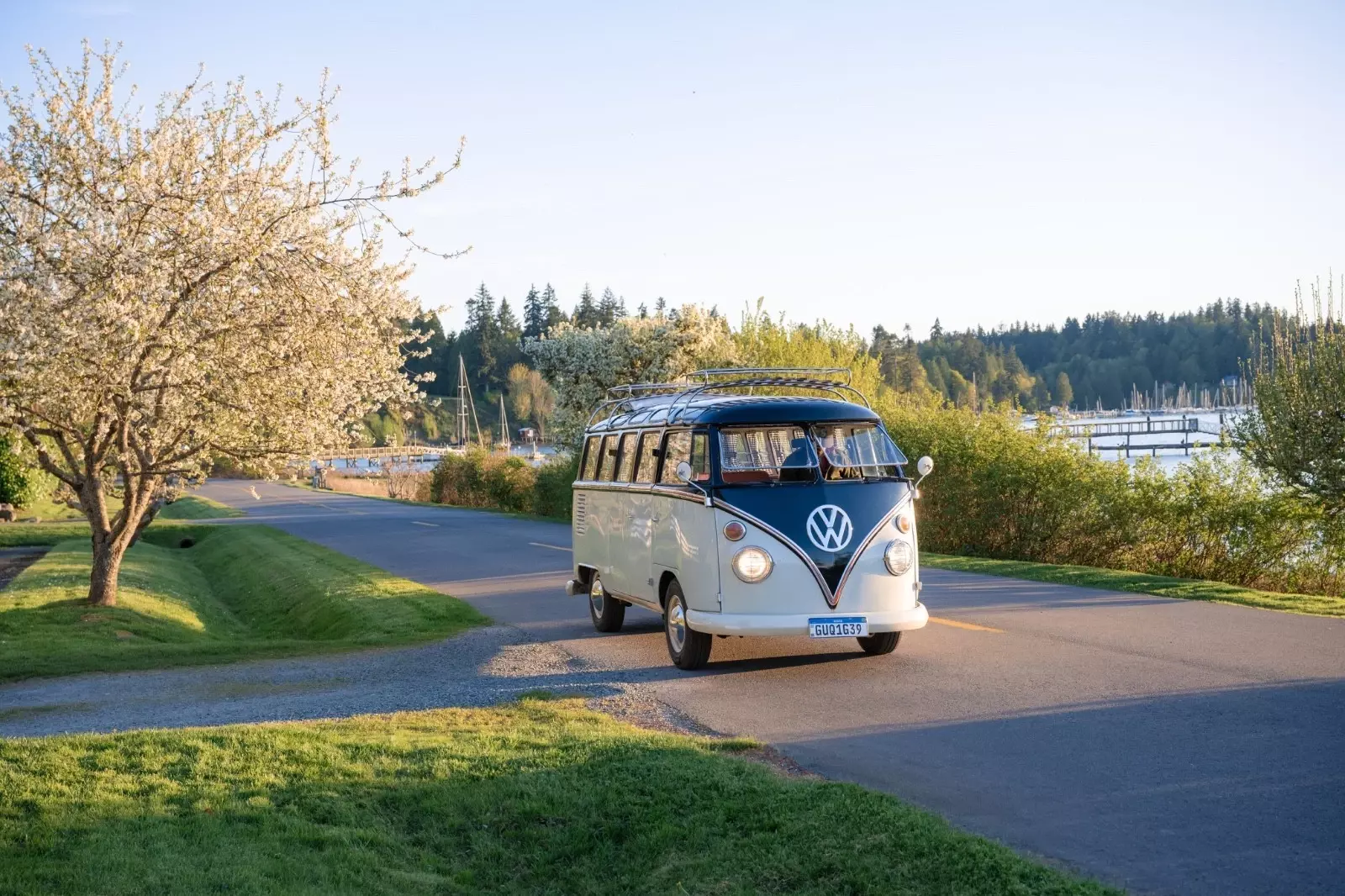 1973 Volkswagen Bus/Vanagon