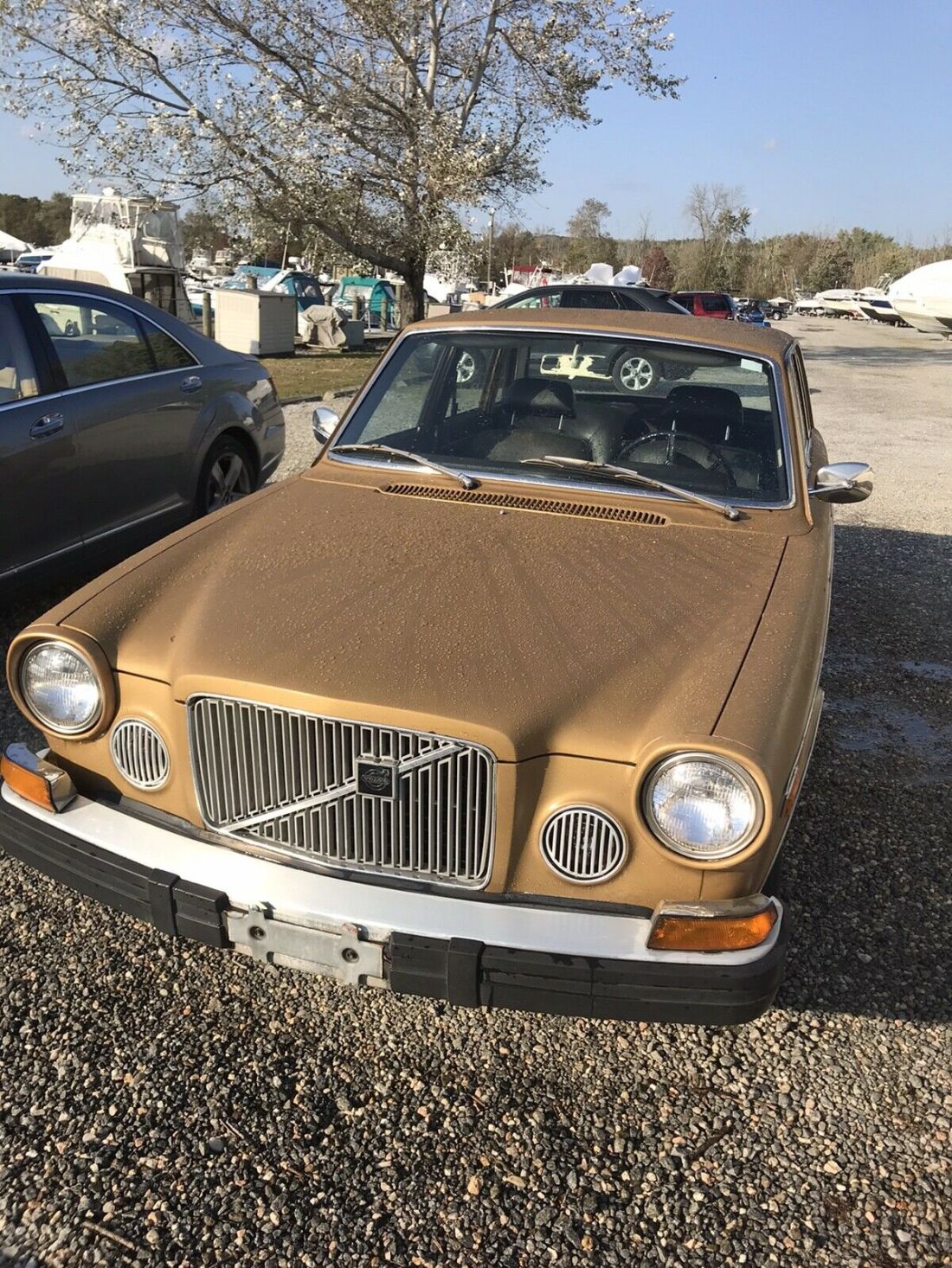 1973 Volvo 164 3.0 E - photo 3