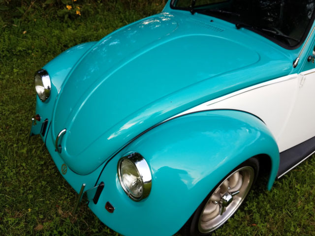1973 Volkswagen Beetle - Classic - photo 9