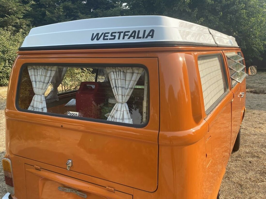 1973 Volkswagen Bus/Vanagon - photo 9