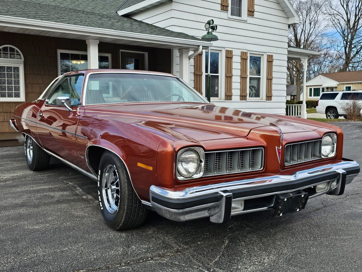 1974 Pontiac Le Mans Luxury - photo 8