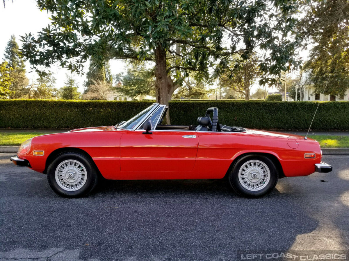 1974 Alfa Romeo Spider Veloce - photo 2