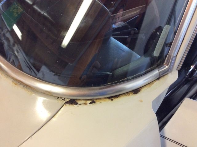 1974 Alfa Romeo Berlina - photo 9