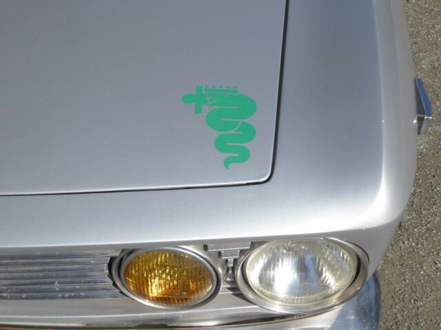 1974 Alfa Romeo GTV Boars Leather Panels - photo 4