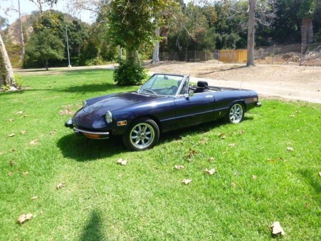 1974 Alfa Romeo Spider - photo 6
