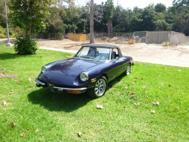 1974 Alfa Romeo Spider - photo 7