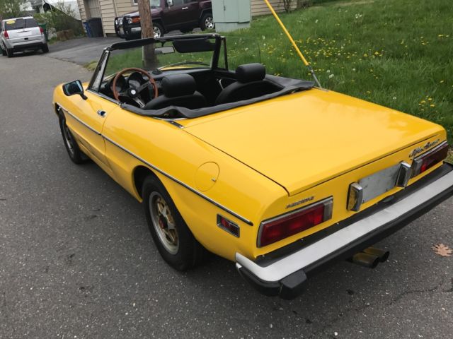 1974 Alfa Romeo Spider - photo 6