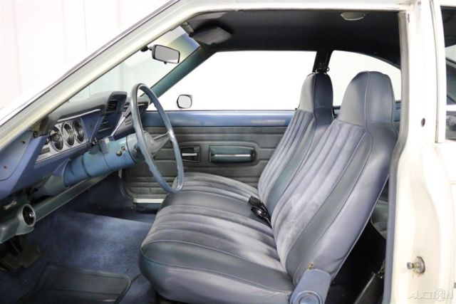1974 Other Makes Hornet - photo 4