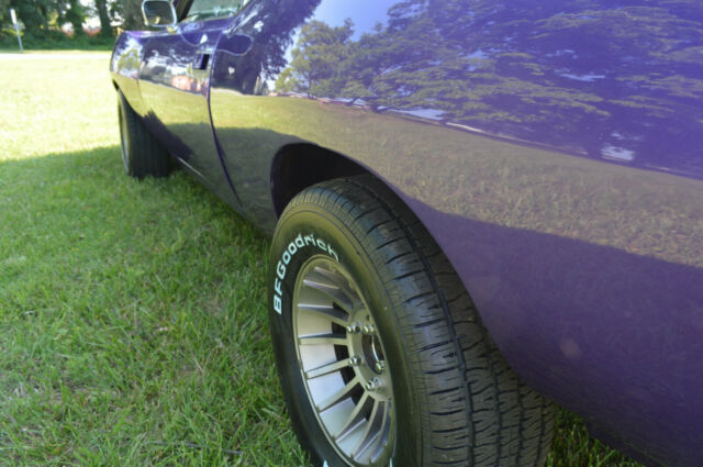 1974 AMC Javelin AMX Trim - photo 10