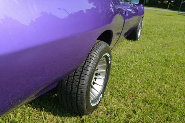 1974 AMC Javelin AMX Trim - photo 9