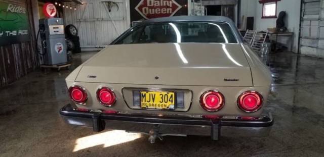 1974 AMC Other Brougham - photo 7